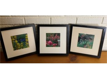 Trio Of Matted & Framed Floral Landscape Photographs, 3 Of 3