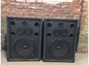 Pair Of MTX Pro 115 Speakers (BG01)