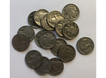 17 Buffalo Nickels With Various Dates