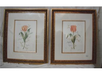 Pair Framed Tulip Prints - Signed By Artist - NEW