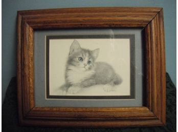 Charcoal Drawing Of One Kitten Signed By Artist - Virginia Miller