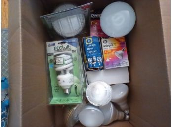 Light Bulb Lot -some New - Many Not Tested