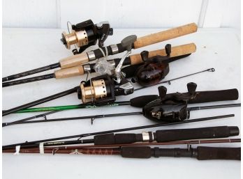 A Large Collection Fishing Rods