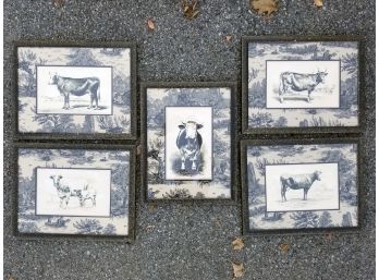 A Series/5 Vintage Cow Prints