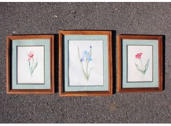 A Series Of Original Watercolor Pastels By Doreen O'Connor