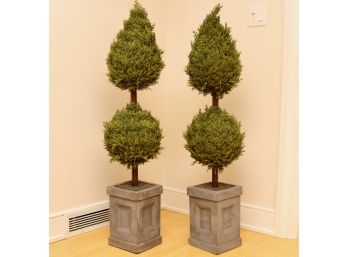 Surreal Trimmed Punta And Ball Topiary Trees In A Pot Set Of 2