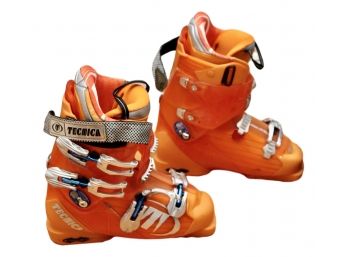 Tecnica French Skii Boots