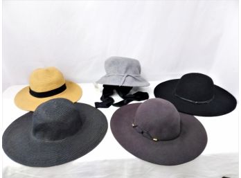 5 Women's Hats Tart, 00010