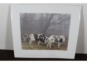 Hand Signed Photograph Of Cows In The Pasture