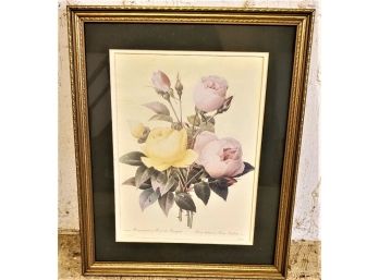 Framed Floral Botanical Print