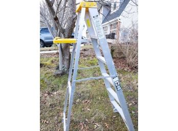 Davidson Aluminum 6' Step Ladder