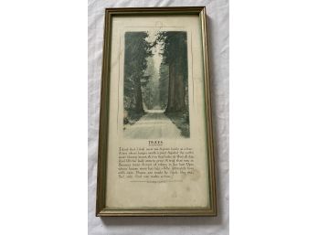 Tree Print With Poem By Joyce Kilmer In Frame