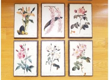 A Set Of 6 Large Mounted Botanical Prints