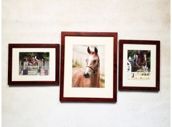 A Trio Of Equestrian Themed Photographs