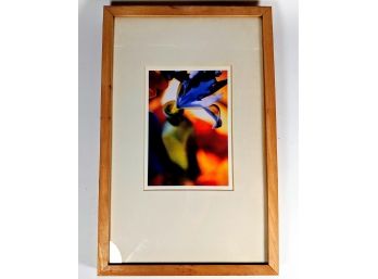 Dazzling Colorful Emotional Close-up Photo Of A Flower Matted & Framed Under Glass 17x11'