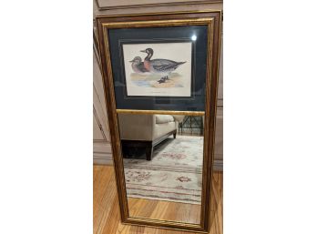 'Bimaculated Duck' Print And Framed Mirror All In One.  By Wm. Zimmerman In Excellent Condition