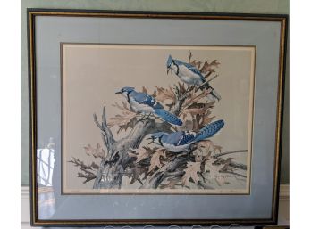 Blue Jay Lithograph Pencil Signed By Roger Tory Peterson