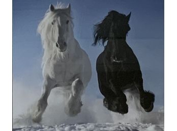 Photographic Print Depicting Two Horses