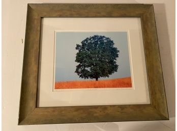 Maple Field Limited Edition Artwork, 2100, Signed By The Artist!