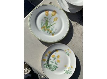 Springtime! 3 Compatible Pretty Plates