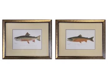 Original Antique Denton Fish Prints: Male Brook Trout, Canadian Red Trout