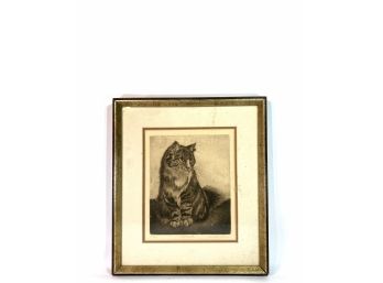 Linda Lloyd - Framed And Matted Behind Glass Etching - 'Sylvester' - Artist Signed And Numbered 30/200