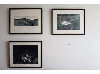 (3) Framed Color Prints By Andrew Wyeth