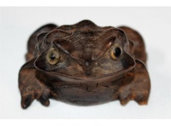 Japanese Carved  Wooden Toad