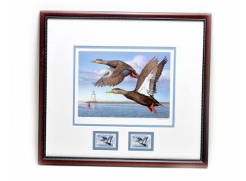 1993 FRAMED CONNECTICUT DUCK STAMP AND PRINT SIGNED BY TOM HIRATA #216/2300