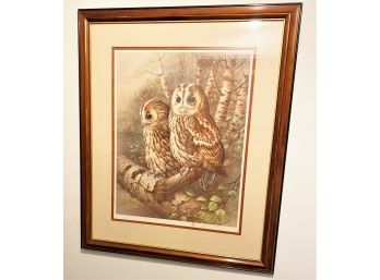 1983 'The Tawny Owl' Signed In Pencil By Raymond Watson Framed Collotype Print By Franklin Gallery