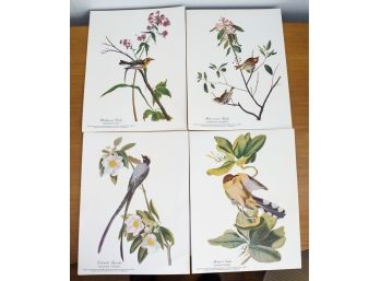 Four  Audubon Prints, 8 X 11, Unframed