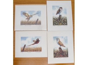 Four David Hinchliffe Prints Of Birds, Signed, Unframed, Barn Owl In Flight, Little Owl, Barn Owl, And Pheasan