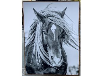 Screened Canvas Horse Art