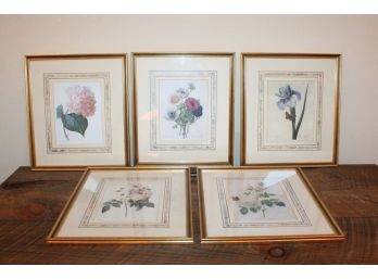 5 Botanical Prints