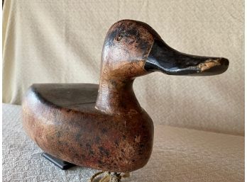 Male Gadwall  Duck  Decoy Signed J. Fulton Natick, MA