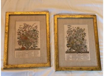 Pair Of Vintage Botanical Prints With Gold Leaf Frame