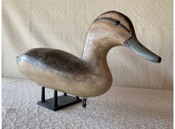 Long Beak Duck Decoy