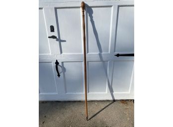 Large Hiking Stick