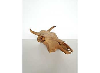 Large Vintage Actual  Steer Skull