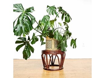 Vintage Rattan Plant Stand - Ottoman