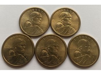 5 2000 P Sacagawea Dollar B Coins