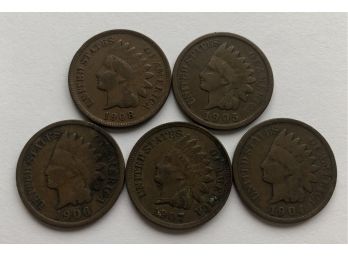 5 Indian Head Pennies Dated 1904, 1905, 1906, 1907, 1908 (Pictures Dark----Coins Are Nice)