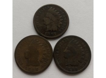 3 Indian Head Pennies Dated 1887, 1888, 1889 (Pictures Dark----Coins Nice)