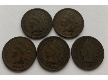 5 Indian Head Pennies Dated 1900, 1901, 1902, 1903, 1904 (Pictures Are Dark----Coins Are Nice)