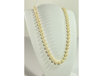 Gorgeous 14 K White Gold & Pearl Necklace