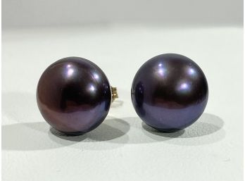 Large 10 K Yellow Gold & Gray / Black  12 MM  Pearl Earrings