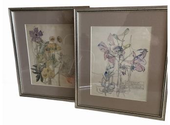 Pair 1900 Larkspur Walberswick Botanical Prints