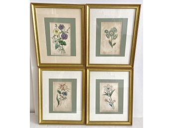 Four Rare 1886 Botanical Prints