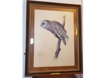 Framed Artist Proof #37/48 ' Barred Owl'  Hand Signed By Famed Wildlife Artist James Fenwick Landsdowne 1967