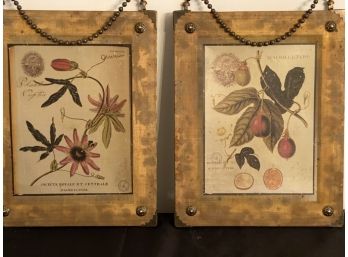 Botanical & Fruit Prints On Fine Brass Mesh Pair